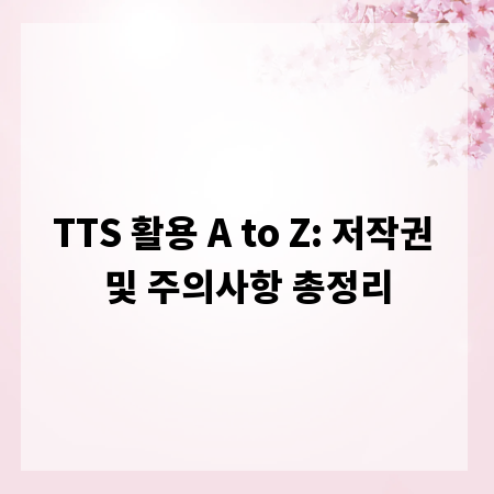 TTS 활용 A to Z: 저작권 및 주의사항 총정리