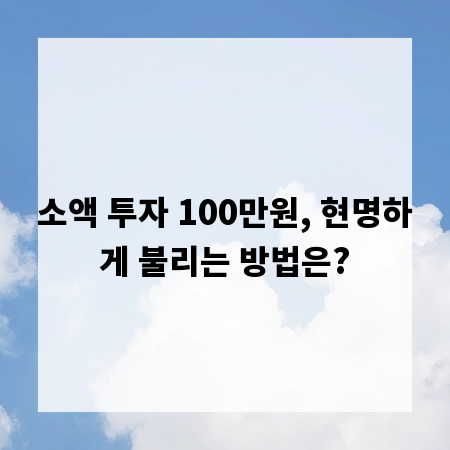 소액 투자 100만원, 현명하게 불리는 방법은?