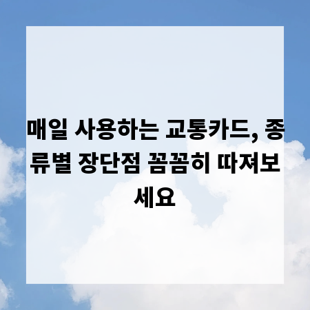 매일 사용하는 교통카드, 종류별 장단점 꼼꼼히 따져보세요