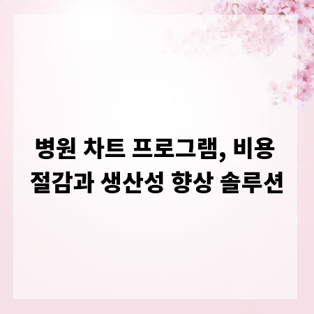 병원 차트 프로그램, 비용 절감과 생산성 향상 솔루션