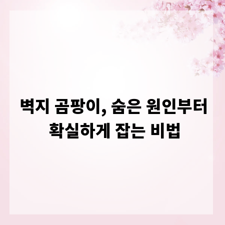 벽지 곰팡이, 숨은 원인부터 확실하게 잡는 비법