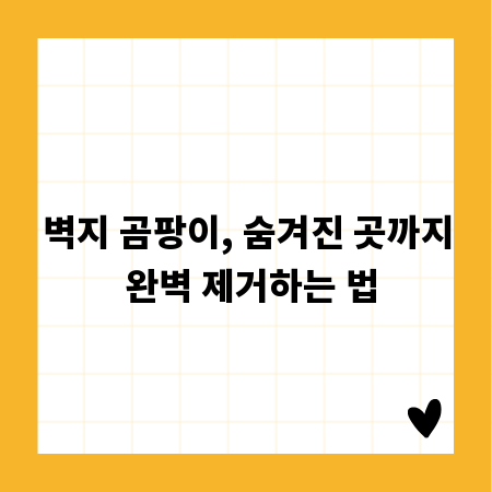 벽지 곰팡이, 숨겨진 곳까지 완벽 제거하는 법