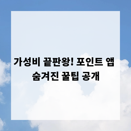 가성비 끝판왕! 포인트 앱 숨겨진 꿀팁 공개