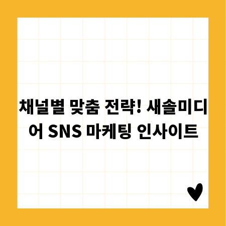 채널별 맞춤 전략! 새솔미디어 SNS 마케팅 인사이트