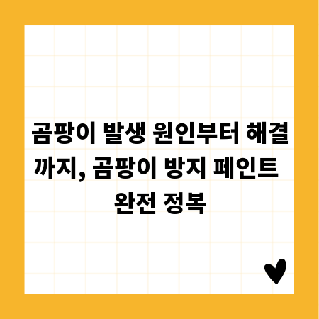 곰팡이 발생 원인부터 해결까지, 곰팡이 방지 페인트 완전 정복