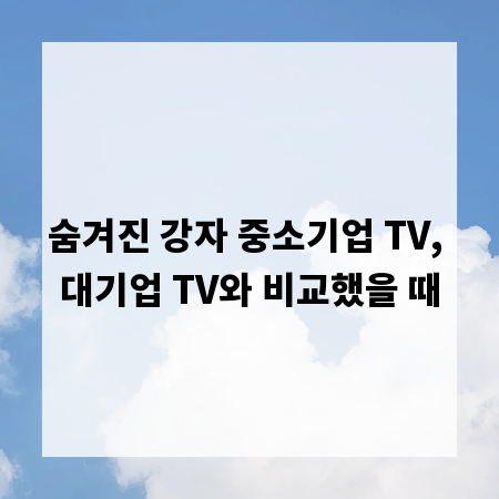 숨겨진 강자 중소기업 TV, 대기업 TV와 비교했을 때
