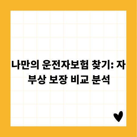 나만의 운전자보험 찾기: 자부상 보장 비교 분석