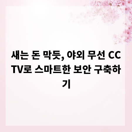 새는 돈 막듯, 야외 무선 CCTV로 스마트한 보안 구축하기