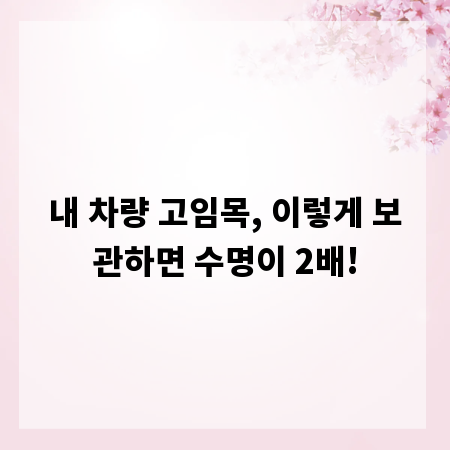 내 차량 고임목, 이렇게 보관하면 수명이 2배!