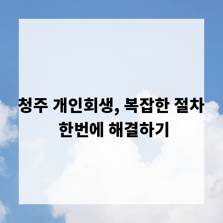 청주 개인회생, 복잡한 절차 한번에 해결하기