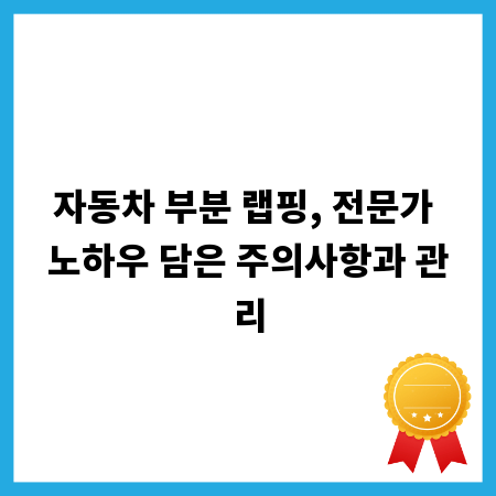 자동차 부분 랩핑, 전문가 노하우 담은 주의사항과 관리