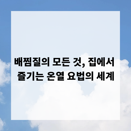 배찜질의 모든 것, 집에서 즐기는 온열 요법의 세계