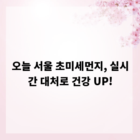 오늘 서울 초미세먼지, 실시간 대처로 건강 UP!