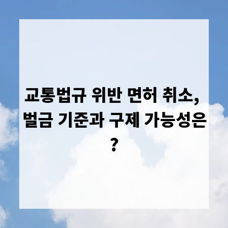 교통법규 위반 면허 취소, 벌금 기준과 구제 가능성은?