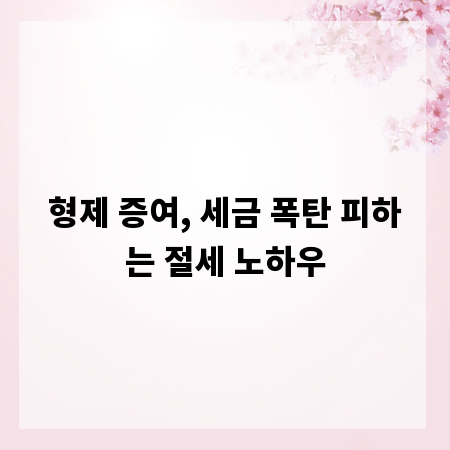 형제 증여, 세금 폭탄 피하는 절세 노하우
