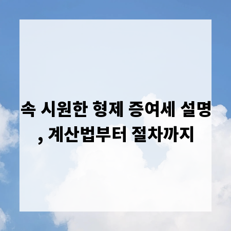 속 시원한 형제 증여세 설명, 계산법부터 절차까지