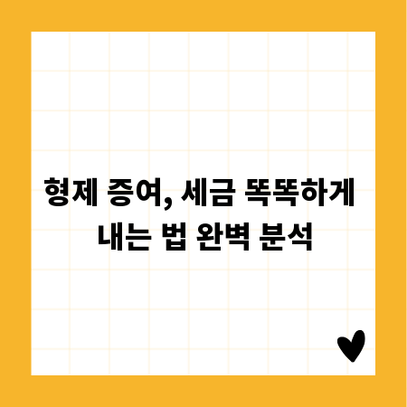 형제 증여, 세금 똑똑하게 내는 법 완벽 분석