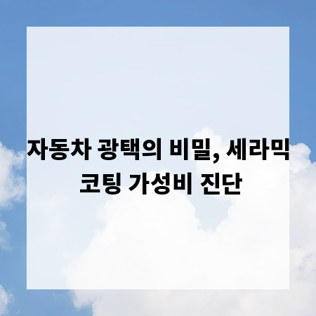 자동차 광택의 비밀, 세라믹 코팅 가성비 진단
