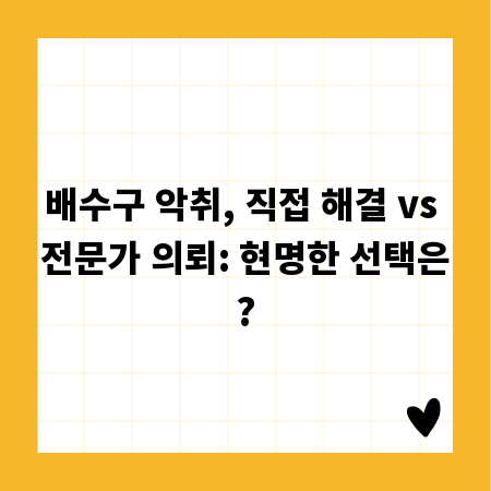 배수구 악취, 직접 해결 vs 전문가 의뢰: 현명한 선택은?