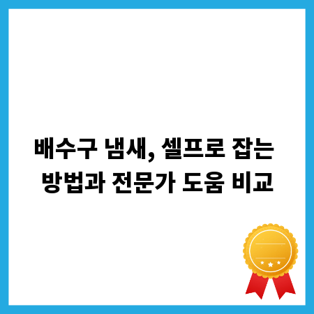 배수구 냄새, 셀프로 잡는 방법과 전문가 도움 비교