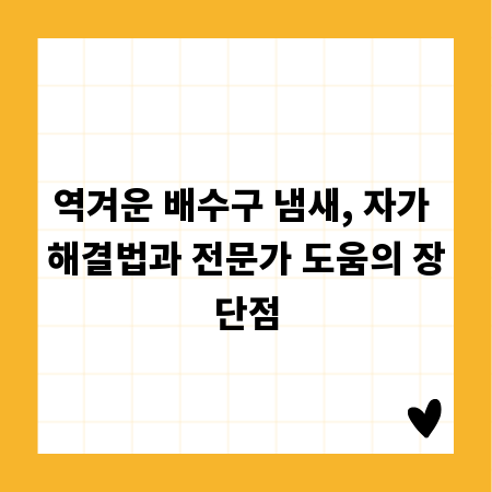 역겨운 배수구 냄새, 자가 해결법과 전문가 도움의 장단점