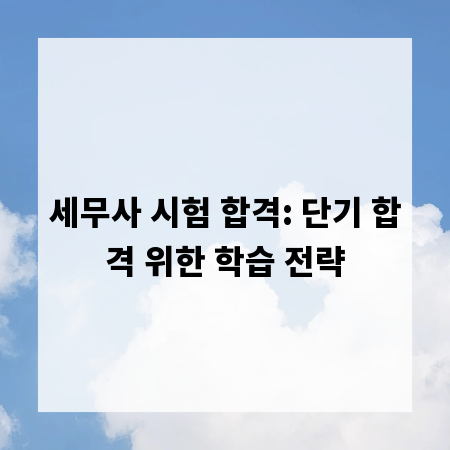 세무사 시험 합격: 단기 합격 위한 학습 전략