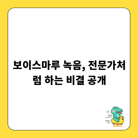 보이스마루 녹음, 전문가처럼 하는 비결 공개