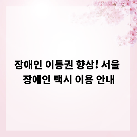 장애인 이동권 향상! 서울 장애인 택시 이용 안내