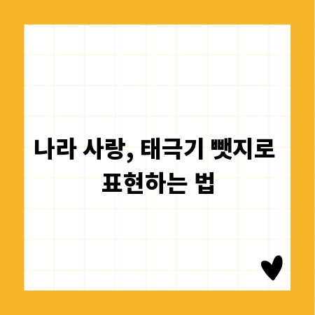 나라 사랑, 태극기 뺏지로 표현하는 법