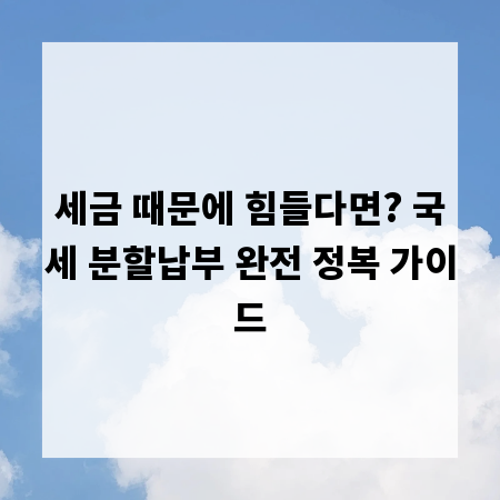 세금 때문에 힘들다면? 국세 분할납부 완전 정복 가이드