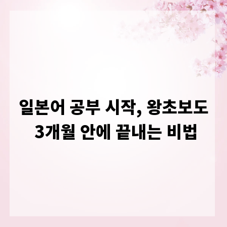 일본어 공부 시작, 왕초보도 3개월 안에 끝내는 비법