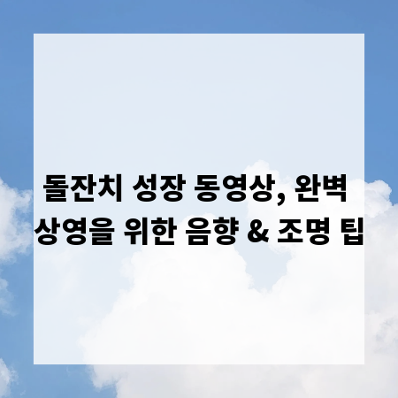 돌잔치 성장 동영상, 완벽 상영을 위한 음향 & 조명 팁