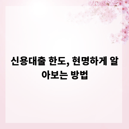 신용대출 한도, 현명하게 알아보는 방법