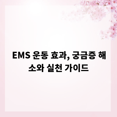 EMS 운동 효과, 궁금증 해소와 실천 가이드