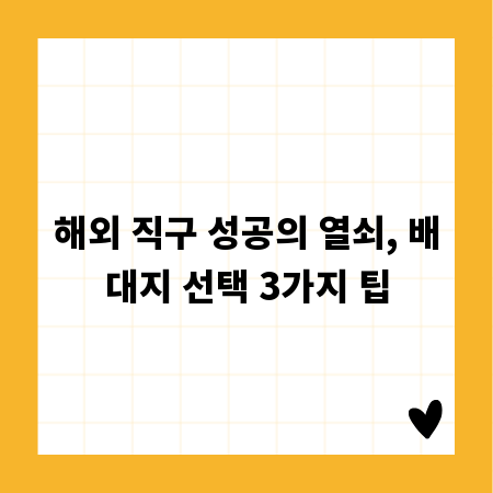 해외 직구 성공의 열쇠, 배대지 선택 3가지 팁