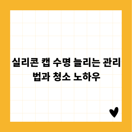 실리콘 캡 수명 늘리는 관리법과 청소 노하우