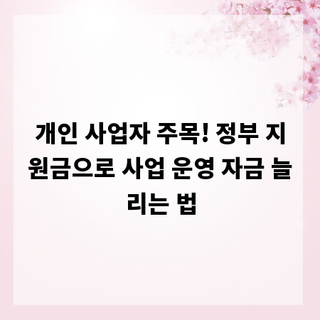 개인 사업자 주목! 정부 지원금으로 사업 운영 자금 늘리는 법