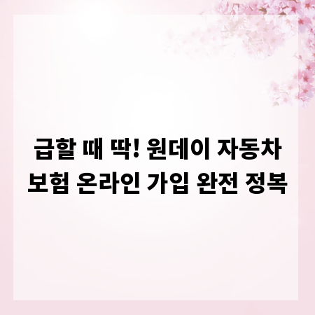 급할 때 딱! 원데이 자동차보험 온라인 가입 완전 정복
