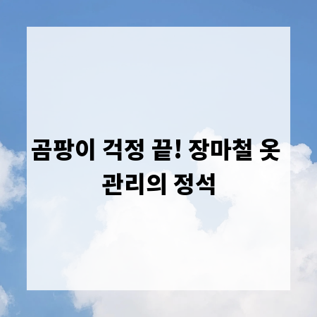 곰팡이 걱정 끝! 장마철 옷 관리의 정석