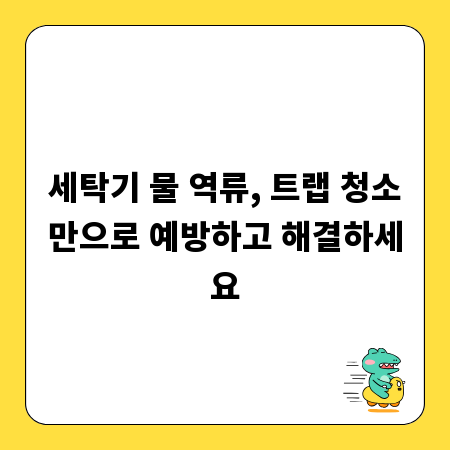 세탁기 물 역류, 트랩 청소만으로 예방하고 해결하세요