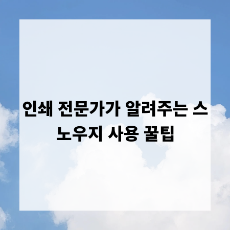 인쇄 전문가가 알려주는 스노우지 사용 꿀팁