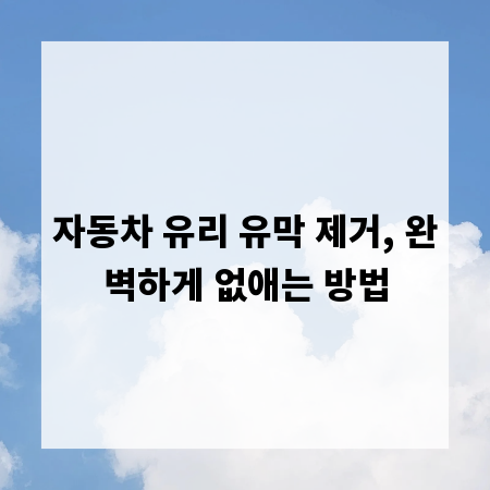 자동차 유리 유막 제거, 완벽하게 없애는 방법