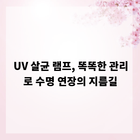 UV 살균 램프, 똑똑한 관리로 수명 연장의 지름길