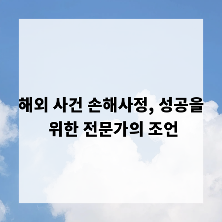 해외 사건 손해사정, 성공을 위한 전문가의 조언