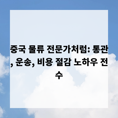 중국 물류 전문가처럼: 통관, 운송, 비용 절감 노하우 전수