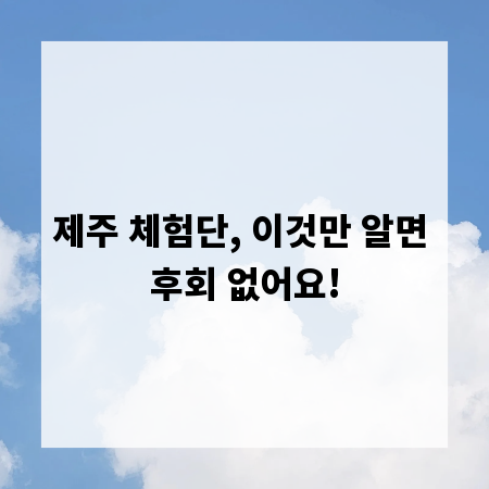 제주 체험단, 이것만 알면 후회 없어요!