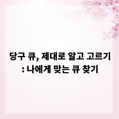 당구 큐, 제대로 알고 고르기: 나에게 맞는 큐 찾기