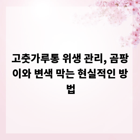 고춧가루통 위생 관리, 곰팡이와 변색 막는 현실적인 방법