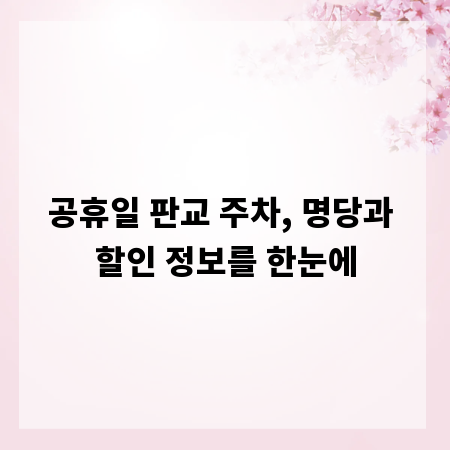 공휴일 판교 주차, 명당과 할인 정보를 한눈에