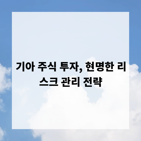 기아 주식 투자, 현명한 리스크 관리 전략